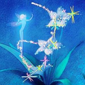 hada !!!