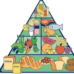 Imagen de portada del videojuego educativo: Pirámide Alimenticia. , de la temática Ciencias
