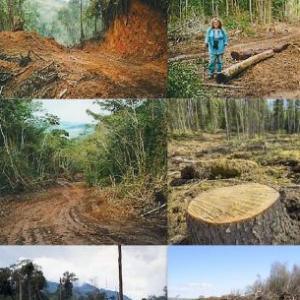 Evaluación- Ed. ambiental- Tercero