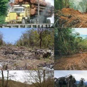 Evaluación- Ed. ambiental- Tercero