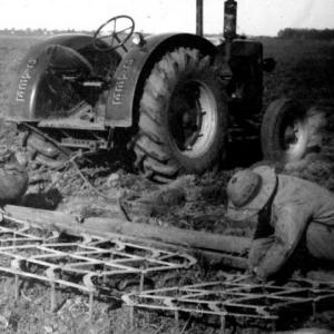 MODELO AGROEXPORTADOR (1880-1914)