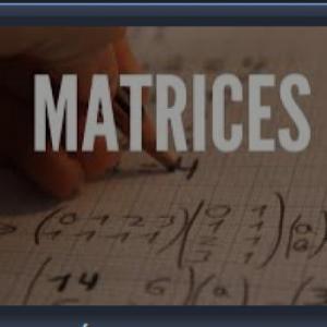Matrices. Trabajo practico de algebra