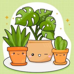 JUEGO DE LAS PLANTAS