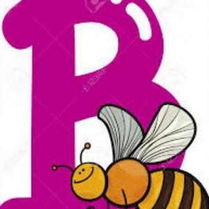 USO DE LA B
