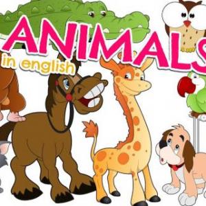 Portada del juego ANIMALS – Idiomas