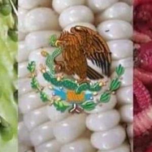 estados y capitales