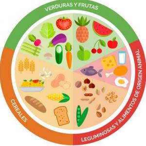 Plato del Buen Comer