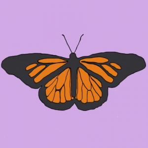 Portada del juego Conocimiento trans – Cultura general
