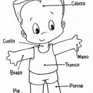 NUESTRO CUERPO
