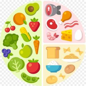 ALIMENTOS SALUDABLES