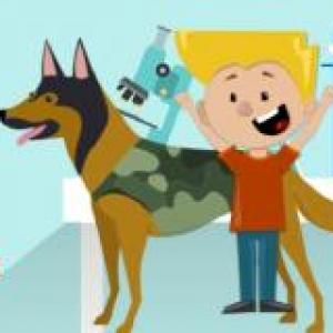 ¿Conoces de verdad la zooterapia?