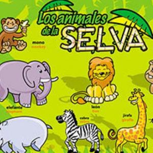 ANIMALES DE LA SELVA