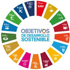 Objetivos de Desarrollo Sostenible