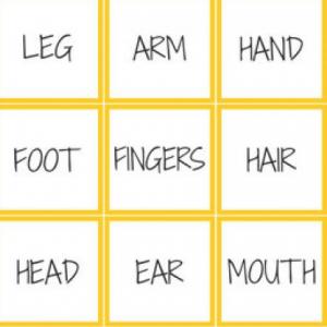 Body parts