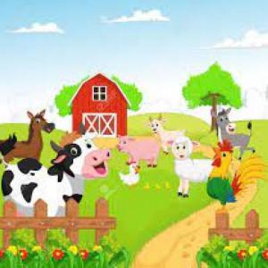 ON THE FARM