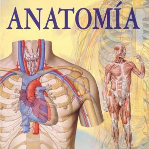 Anatomía del cuerpo humano