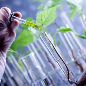 TRIVIA: Dogma Central de la Biología Molecular