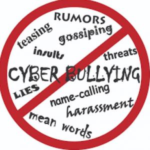 La ciberseguridad y los riesgos