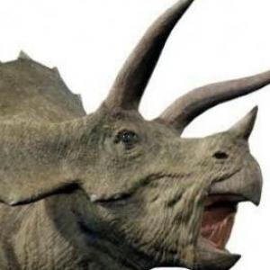 Juego de memoria de dinosaurios