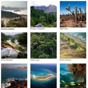 Ecosistemas de México y su fauna