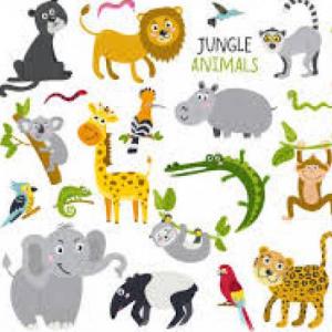 animales de la selva