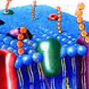 JUEGO GENERAL DE HISTOLOGIA I