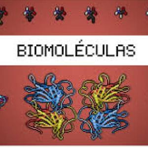 Biomoléculas