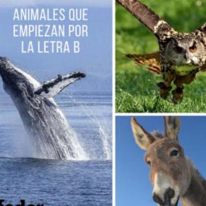 Animales Que Empiezan Con B - Memorias - Juego Educativo - Lengua - Mobbyt