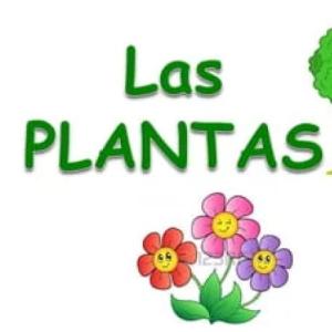 Las plantas