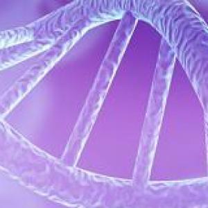 LLa Coevolución: Una Carrera Armamentista Biológica contra el VIH