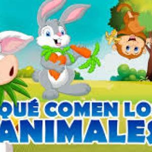 ALIMENTOS DE LOS ANIMALES SALVAJES