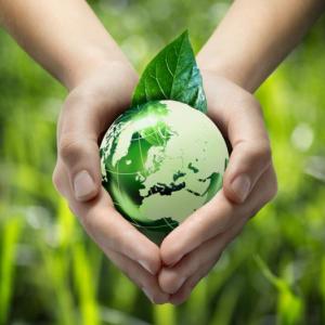 Patrones y tipos de biodiversidad