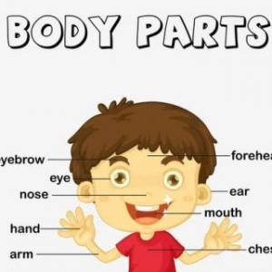Body parts