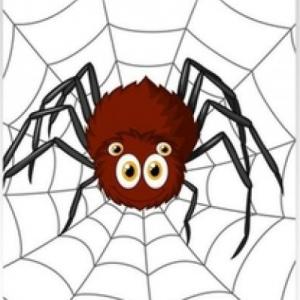 INSECTOS Y ARACNIDOS
