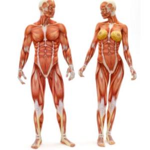 Kinesiología