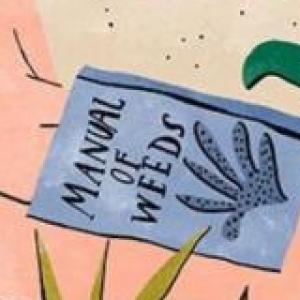 antropoliga y plantas