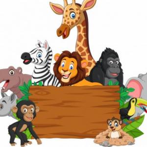 Animales