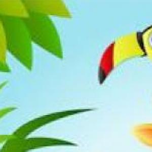 Cuento de los animales