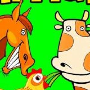 cuento del gato