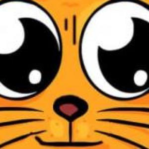 Cuento del raton