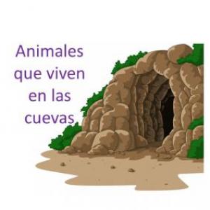 Imagen de portada del videojuego educativo: Animales que viven en las cuevas, de la temática Medio ambiente