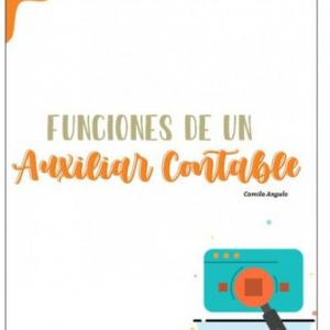 Funciones de un auxiliar contable