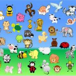 Animales domésticos y Salvajes