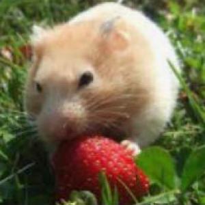 frutas,verduras y animales naturaleza