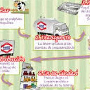 circuito productivo