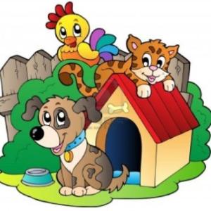 Aprendemos los animales en inglés