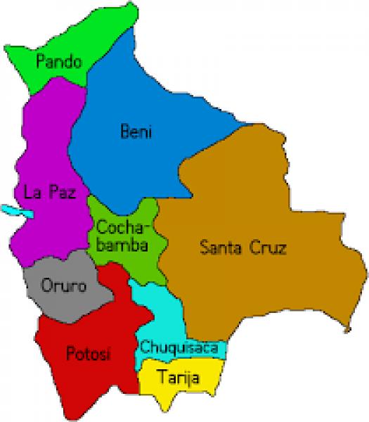 Mis Banderas Bolivianas