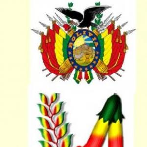 los símbolos patrios