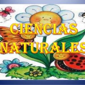 La ciencia y física