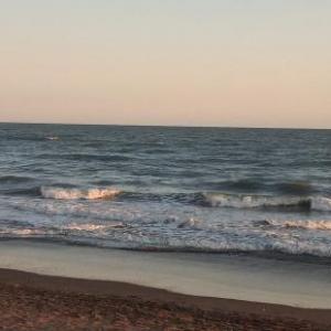 Animales del mar